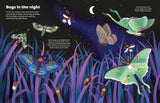 Usborne Big Sticker Book - Bugs