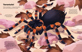 Usborne Big Sticker Book - Bugs