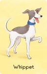 Snap Cards - Dogs