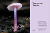 The Secret Life of Fungi - Jay Lichter