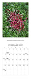 2027 - New Zealand’s Native Flowers Calendar