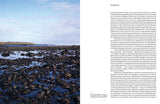 Sight Lines: Women and Art in Aotearoa - Kirsty Baker