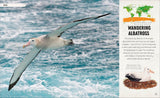 Amazing Animal Journeys: The Most Incredible Migrations in the Natural World -DK