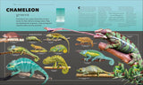 Animals: A Visual Compendium - DK