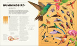 Animals: A Visual Compendium - DK