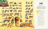 Animals: A Visual Compendium - DK