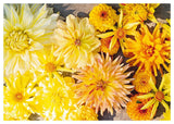 Dahlias: Inspiration, Cultivation and Care for 222 Varieties - Ulrika Gronlund