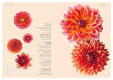 Dahlias: Inspiration, Cultivation and Care for 222 Varieties - Ulrika Gronlund