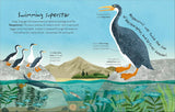 Time to Explore Dinosaurs (With a Foldout Surprise!) - Andrea Mills