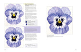 Modern Flower Painter - Anna Mason