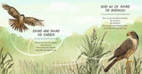 The Big Book of Kiwi Nursery Rhymes - Kimberly Andrews PRE-ORDER