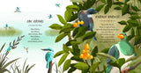 The Big Book of Kiwi Nursery Rhymes - Kimberly Andrews PRE-ORDER