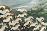 Margaret's Unicorn - Briony May Smith