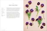 Pansies - Brenna Estrada
