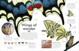 DK Shapes of Nature A Kaleidoscope of the Natural World - Ben Hoare