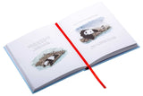 The Jouney: Big Panda and Tiny Dragon - James Norbury